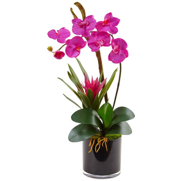 Orchid and Bromeliad in Glossy Black Cylinder - SKU #1437-DP - 2